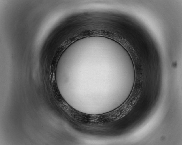 X0000101150766200806270800