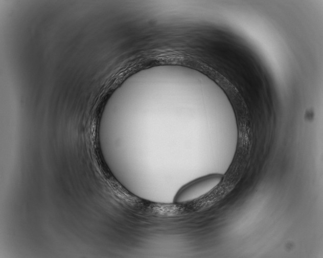 X0000101150767200806270800
