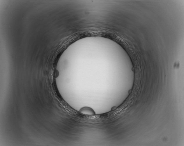X0000101150768200806270800