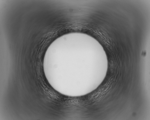 X0000101150769200806270759