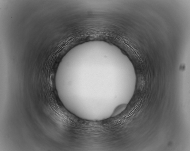 X0000101150770200806270759