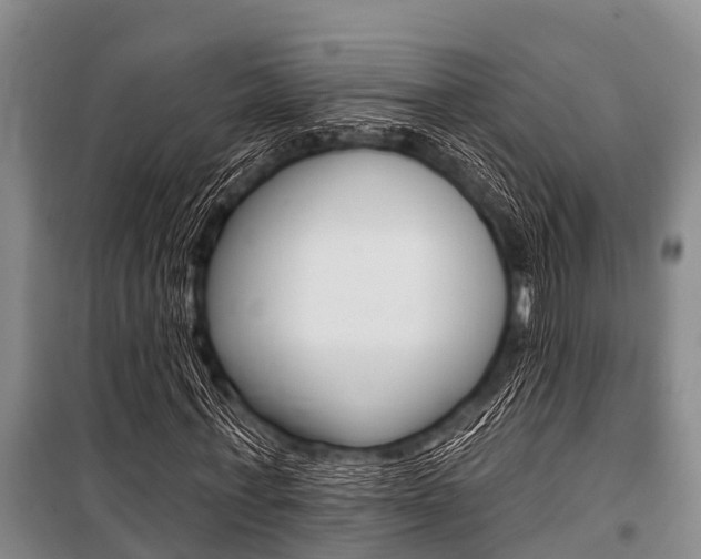 X0000101150771200806270759