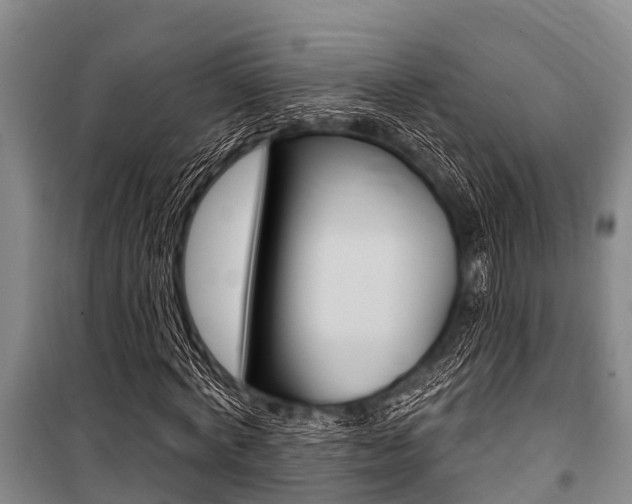 X0000101150772200806270759