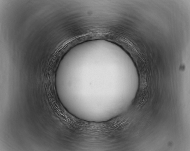 X0000101150773200806270759