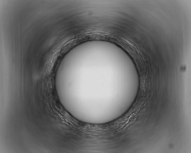 X0000101150774200806270759