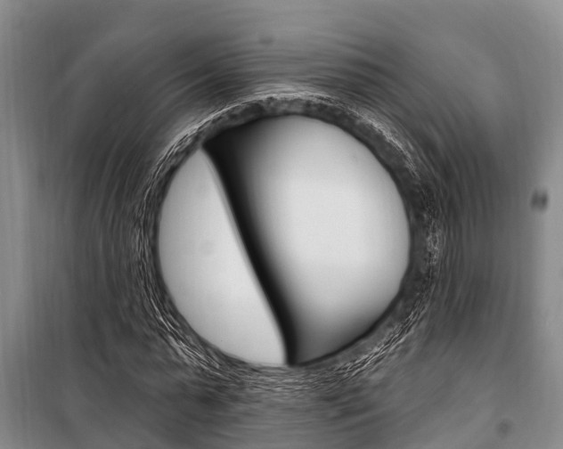 X0000101150775200806270759