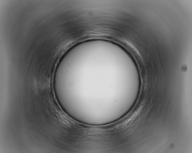 X0000101150777200806270759