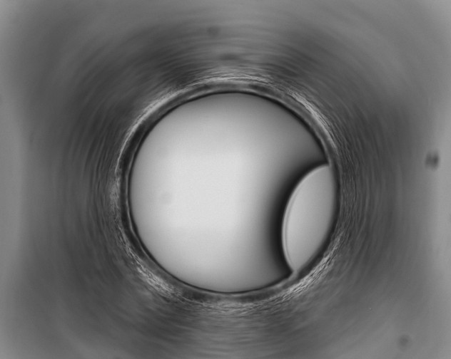 X0000101150779200806270759