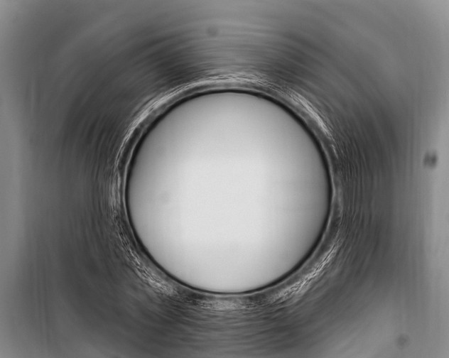 X0000101150781200806270759