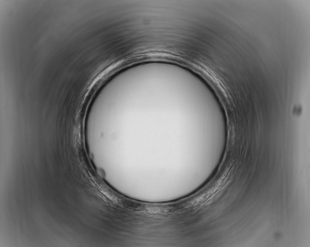 X0000101150782200806270759