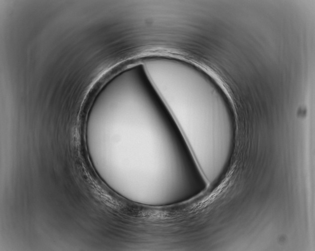 X0000101150783200806270759