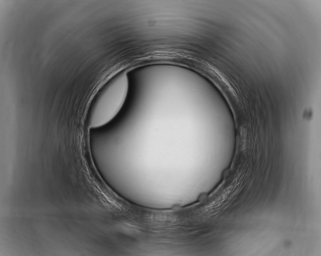 X0000101150786200806270759
