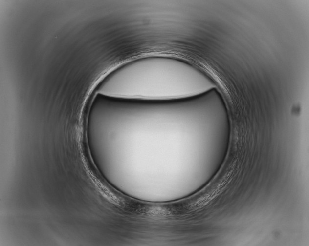 X0000101150787200806270758