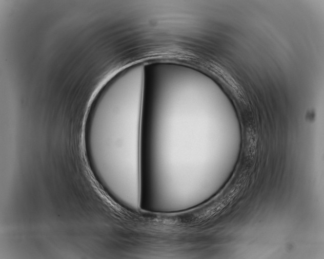 X0000101150788200806270758