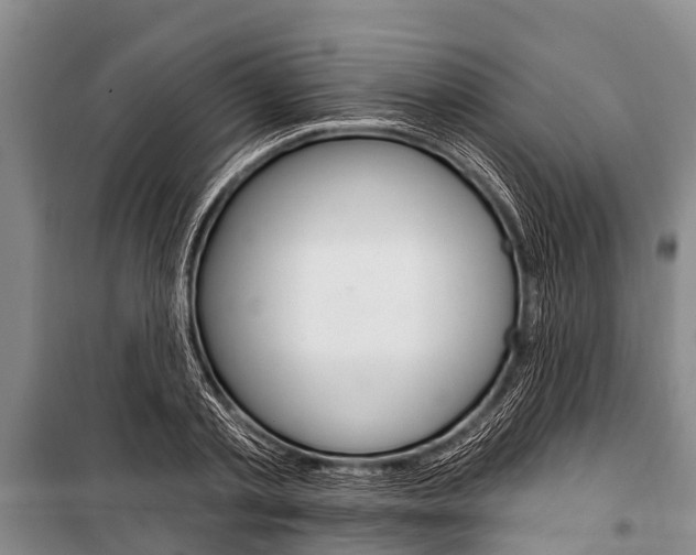 X0000101150789200806270758