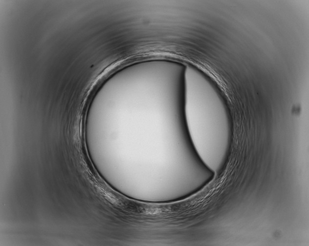 X0000101150790200806270758