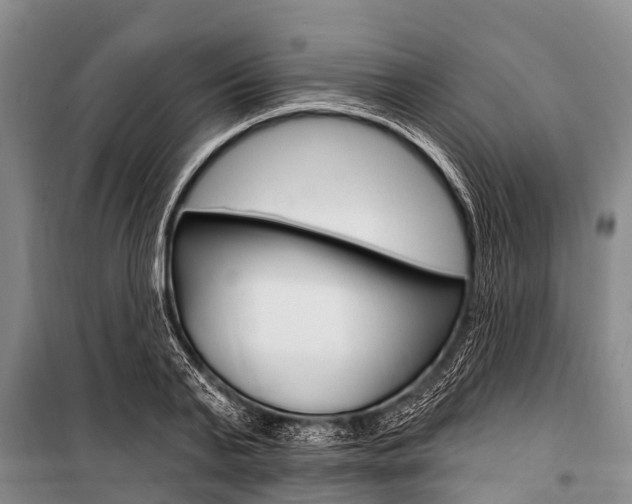 X0000101150791200806270758