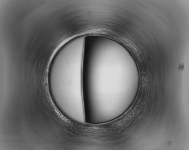 X0000101150792200806270758