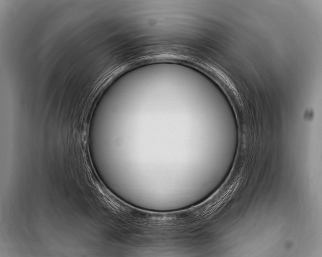 X0000101150793200806270758