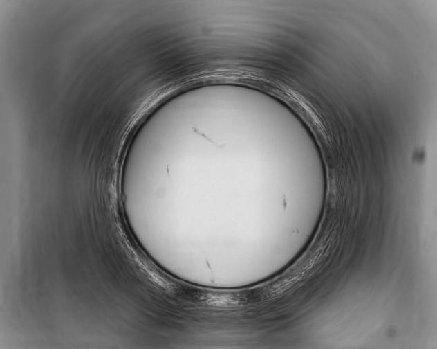 X0000101150794200806270758