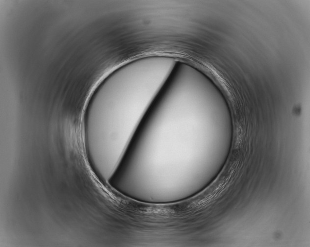 X0000101150795200806270758