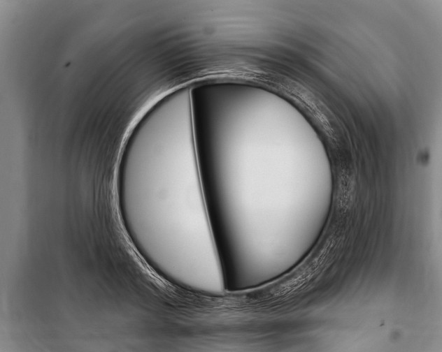 X0000101150796200806270758
