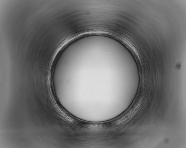X0000101150797200806270758