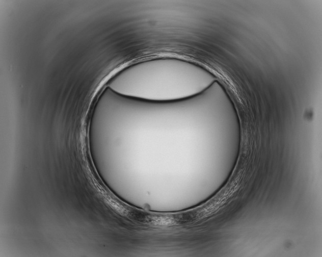 X0000101150798200806270758