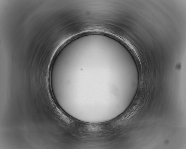 X0000101150799200806270758