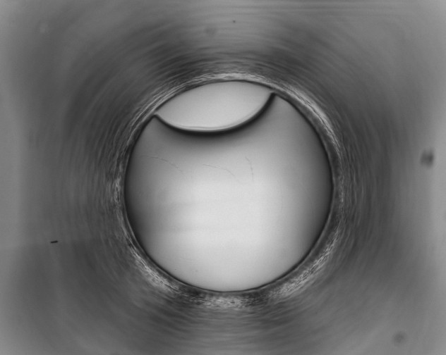 X0000101150801200806270758