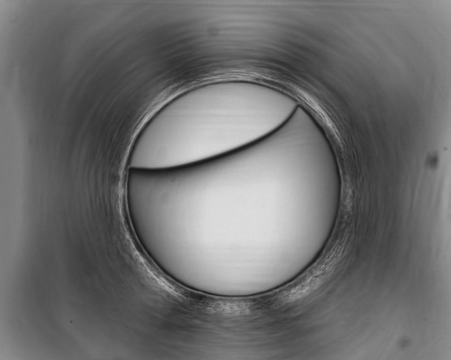 X0000101150802200806270758