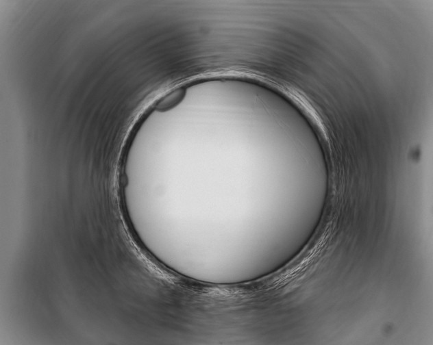 X0000101150805200806270758