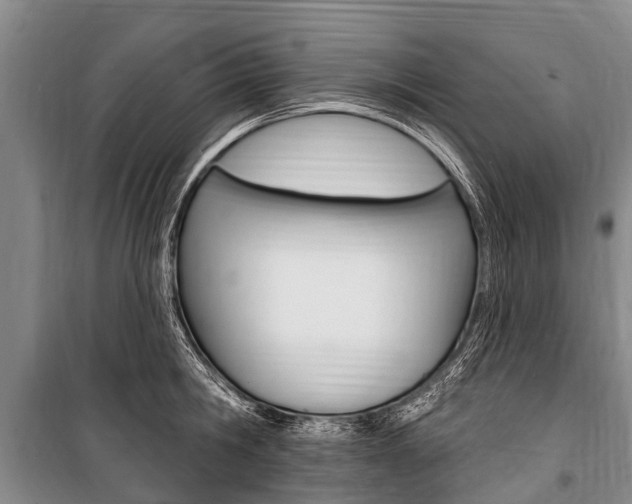 X0000101150806200806270758