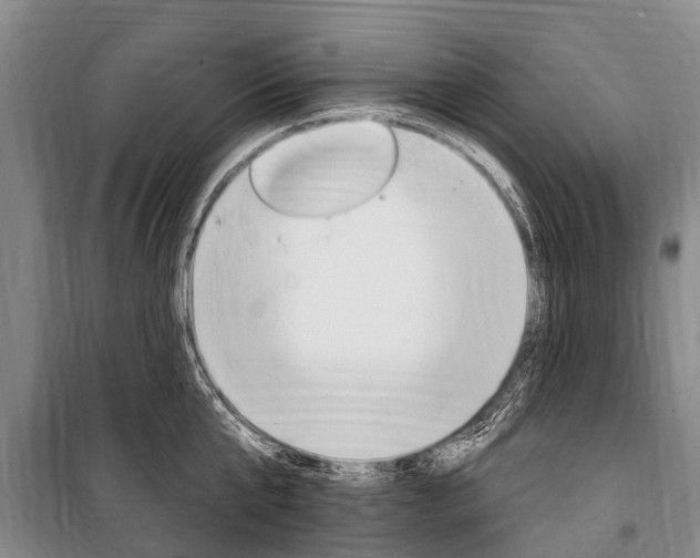 X0000101150807200806270758