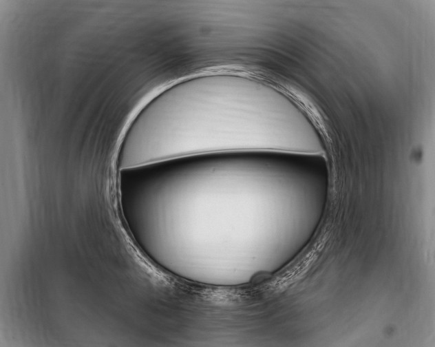 X0000101150808200806270758