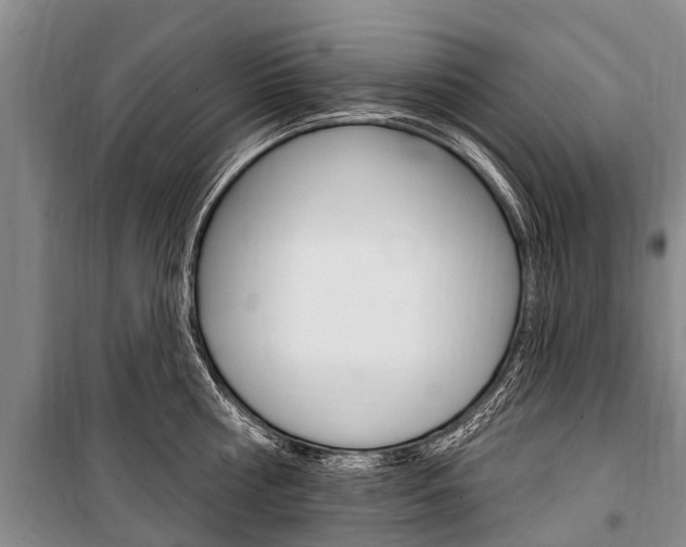 X0000101150810200806270758