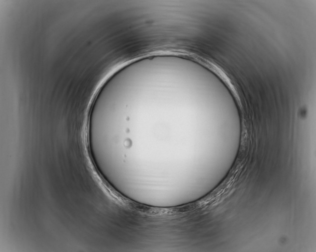 X0000101150811200806270758