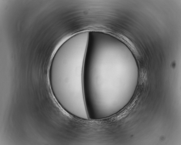 X0000101150812200806270758