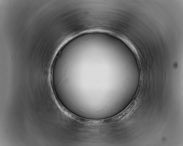 X0000101150813200806270758