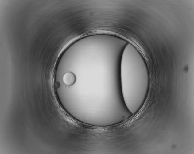 X0000101150814200806270758