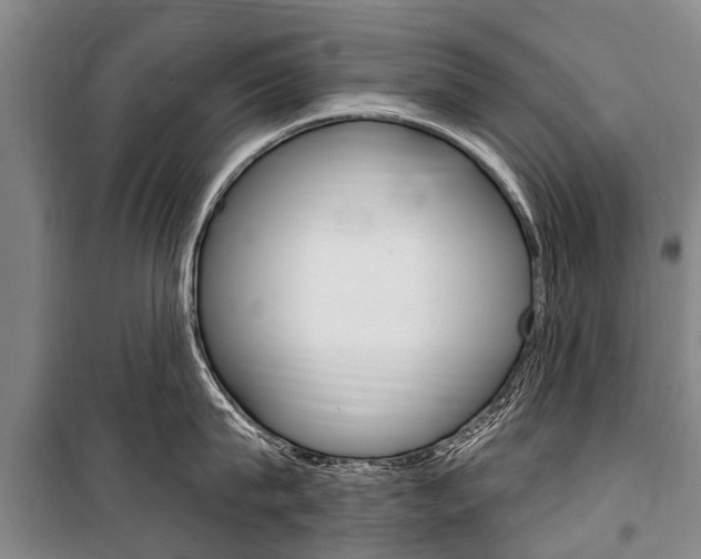 X0000101150815200806270758