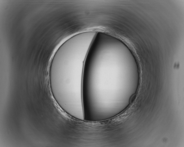 X0000101150816200806270758
