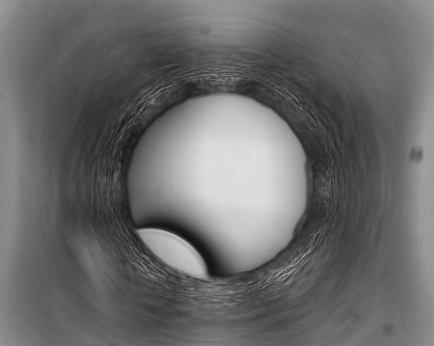 X0000101150818200806270757