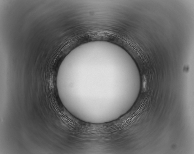 X0000101150819200806270757