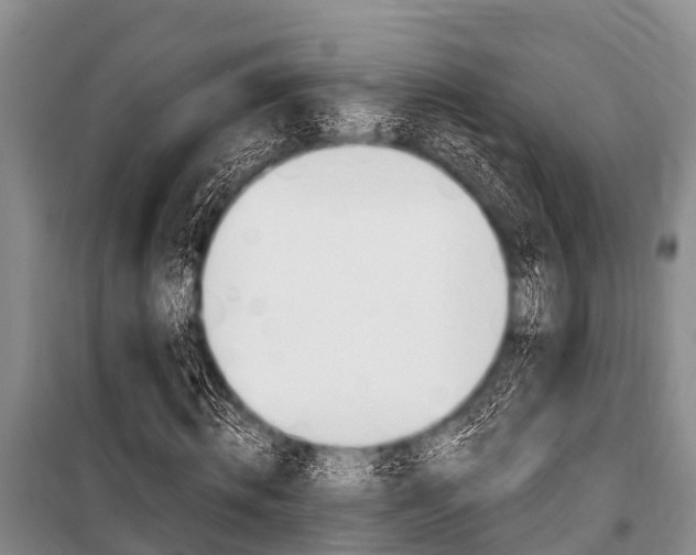 X0000101150820200806270757