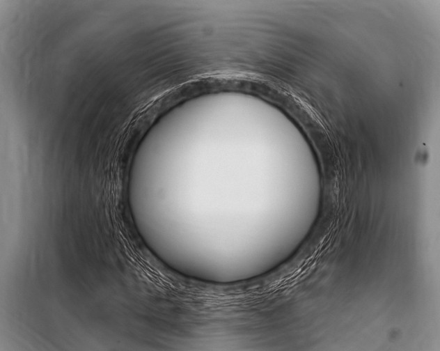 X0000101150821200806270757
