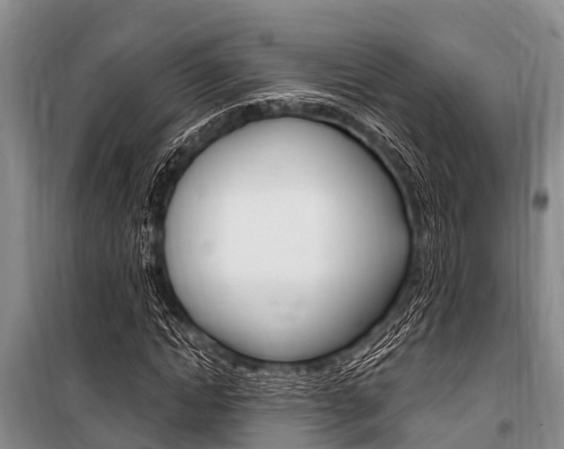 X0000101150822200806270757