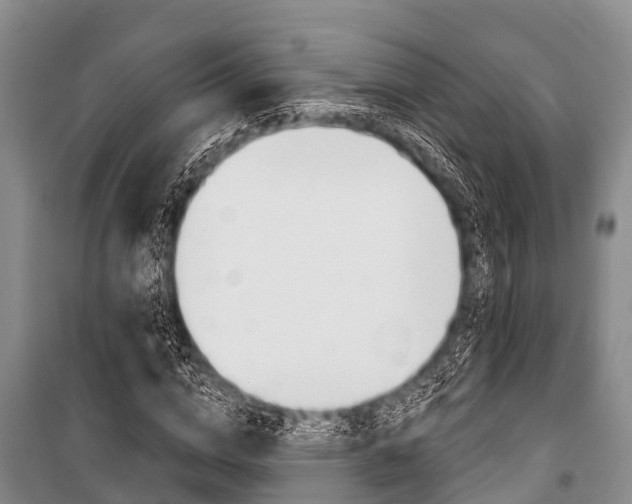 X0000101150824200806270758