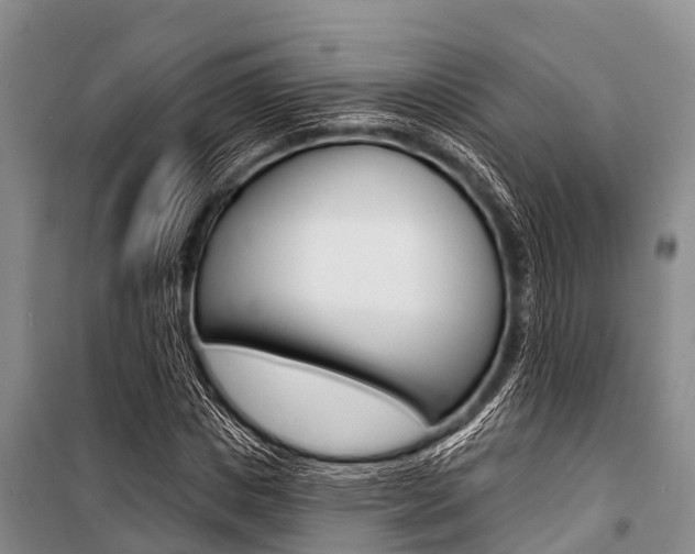 X0000101150825200806270758
