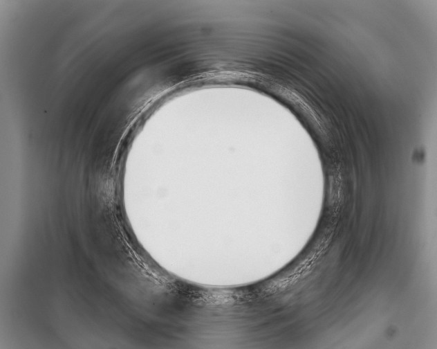 X0000101150828200806270758